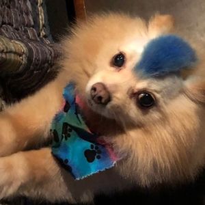 Meet your Posher, Mecca